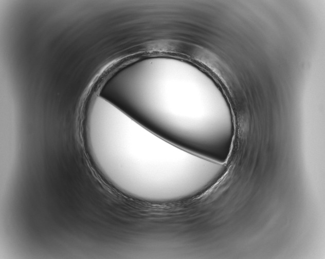 X0000098191115200804241045