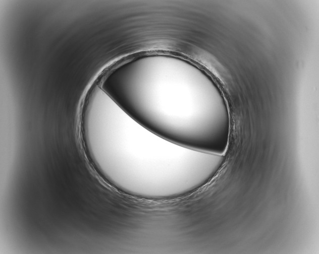X0000098191116200804241045
