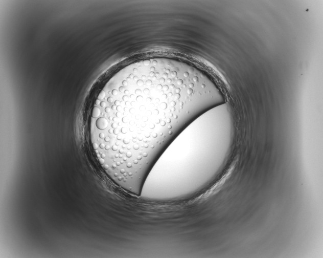 X0000098191117200804241045