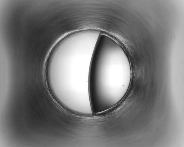 X0000098191118200804241045