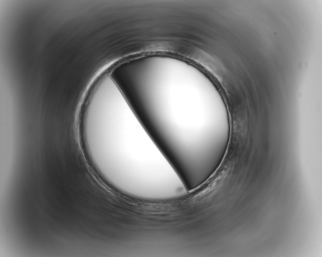 X0000098191119200804241045