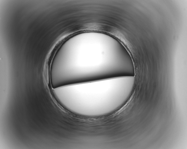X0000098191123200804241045