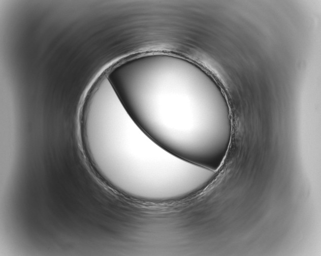 X0000098191124200804241045