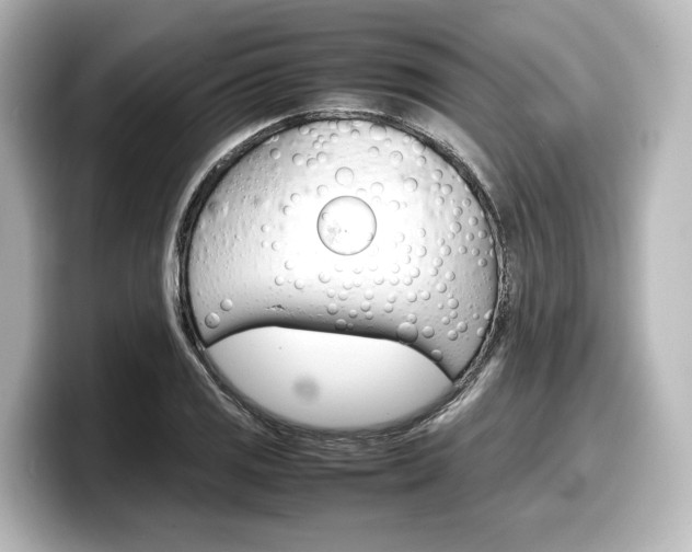 X0000098191125200804241045