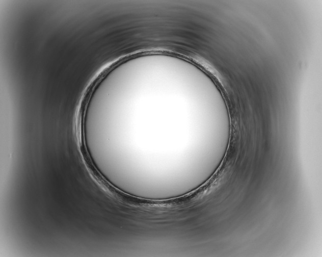 X0000098191127200804241045
