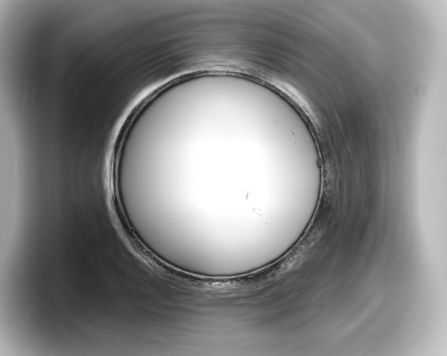 X0000098191128200804241045