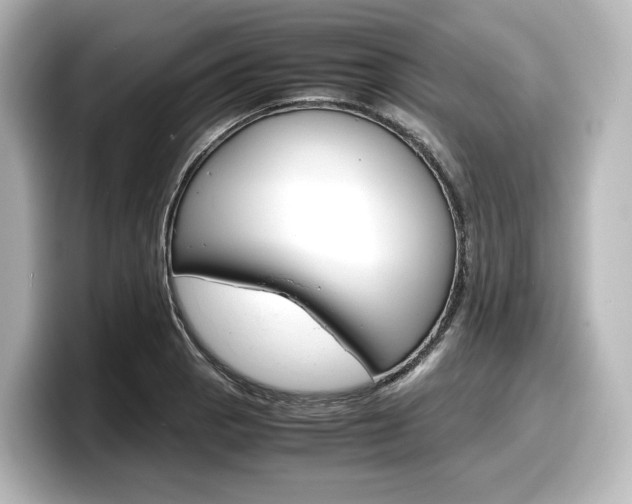 X0000098191129200804241045