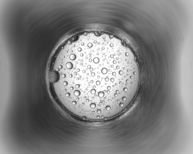 X0000098191130200804241045