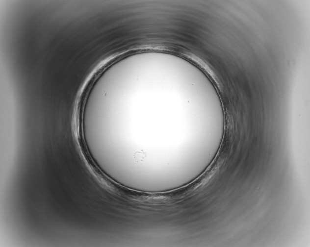 X0000098191131200804241045