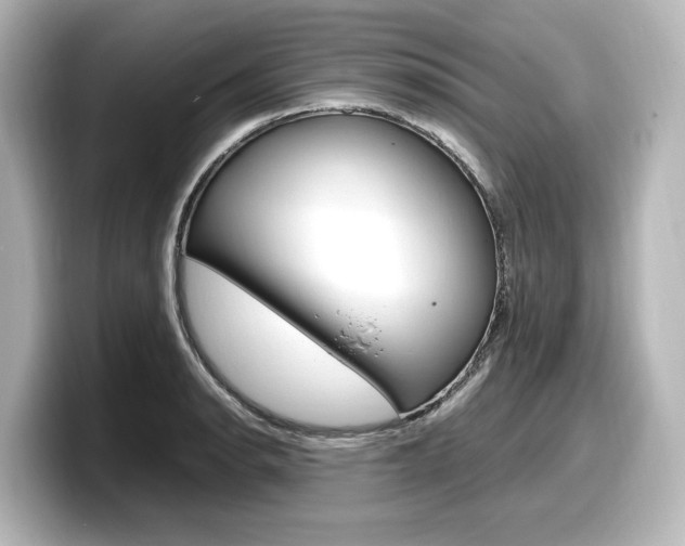 X0000098191134200804241045