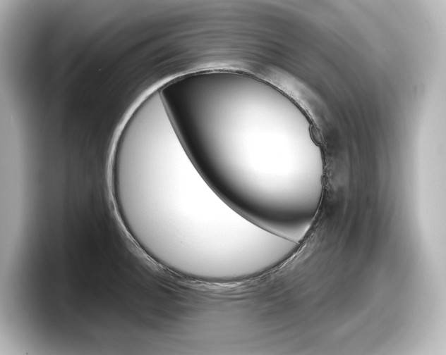 X0000098191140200804241045