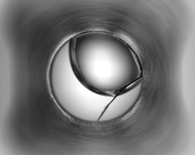 X0000098191141200804241045