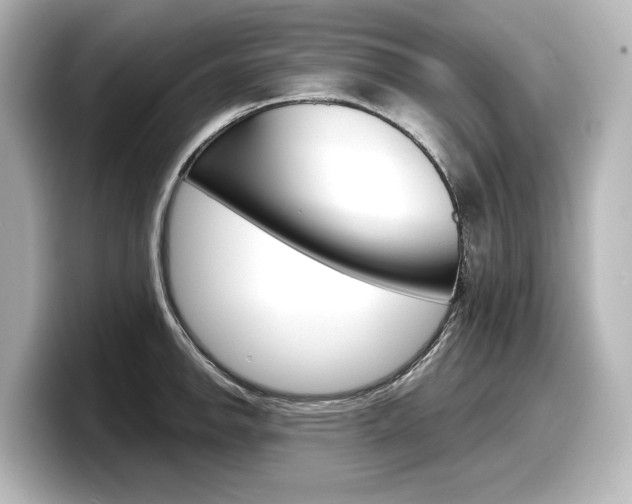X0000098191142200804241045