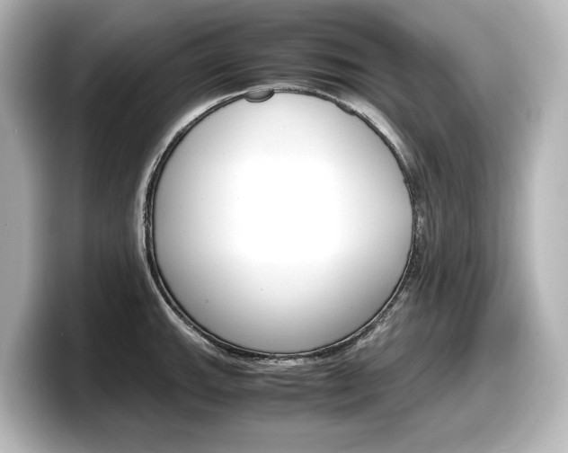 X0000098191143200804241046