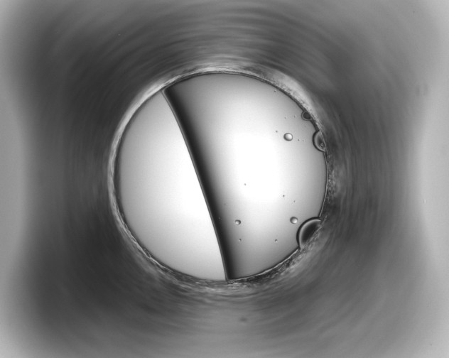 X0000098191146200804241046