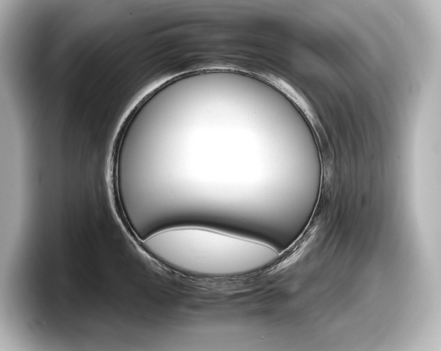 X0000098191149200804241046