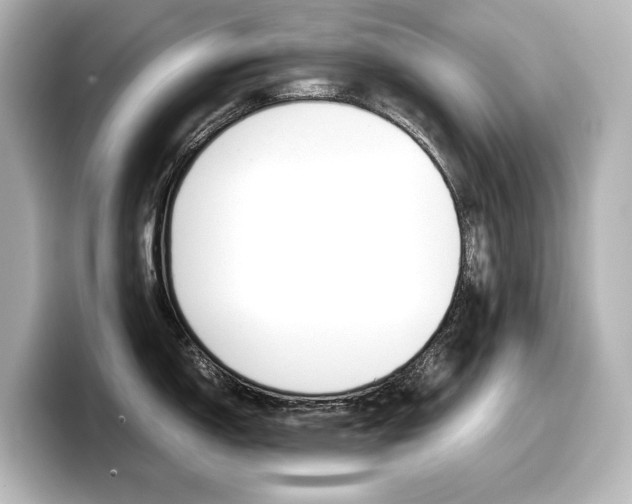 X0000098191150200804241046