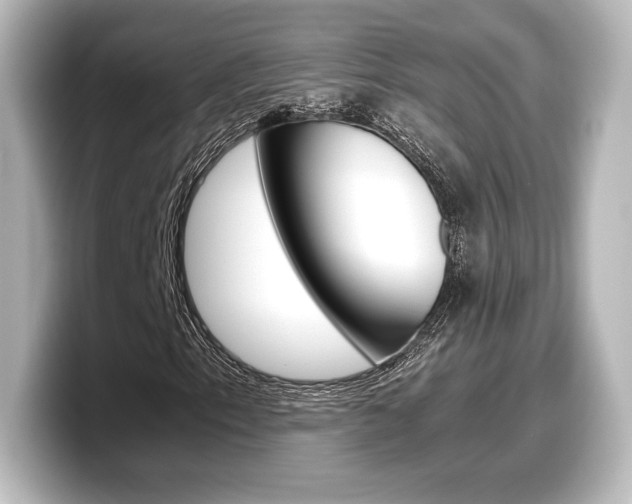 X0000098191153200804241045