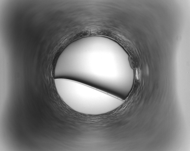 X0000098191155200804241045
