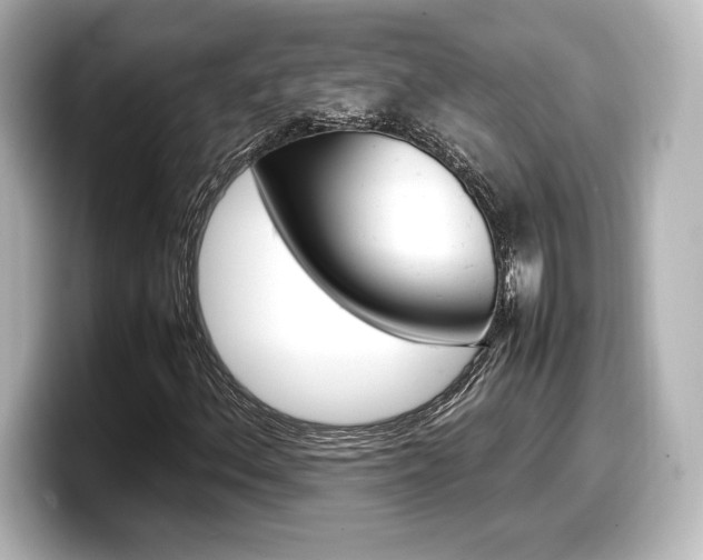 X0000098191156200804241045