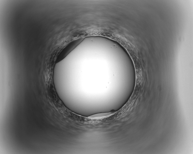 X0000098191157200804241045