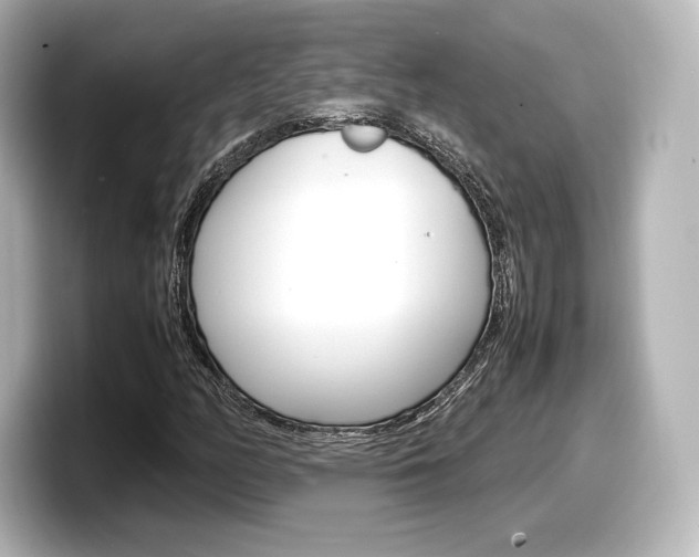 X0000098191158200804241045