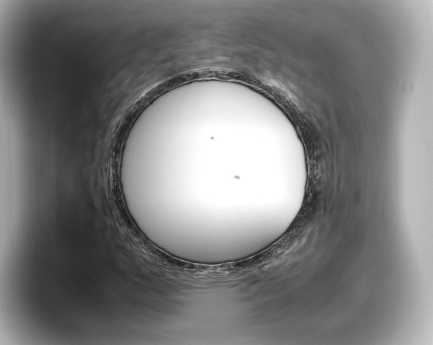 X0000098191159200804241045