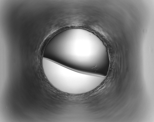 X0000098191160200804241045