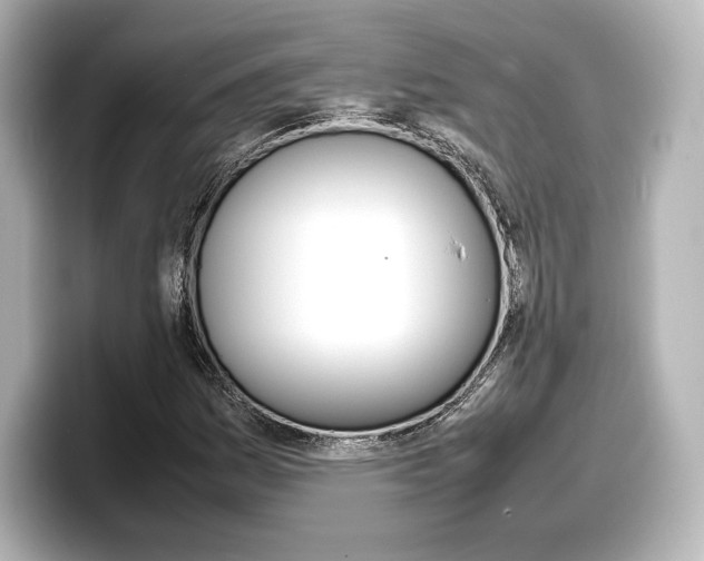 X0000098191161200804241045