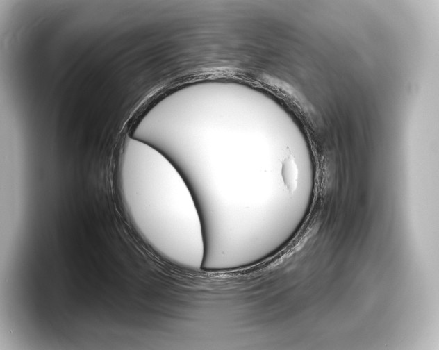 X0000098191162200804241045