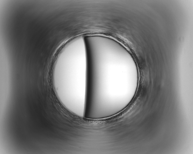 X0000098191163200804241045