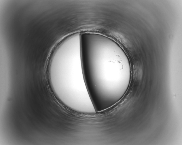 X0000098191164200804241045
