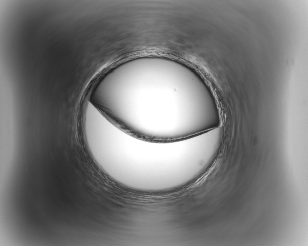 X0000098191165200804241045