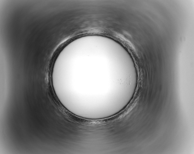 X0000098191166200804241045
