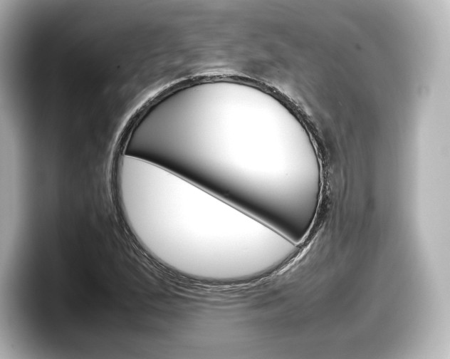X0000098191167200804241045