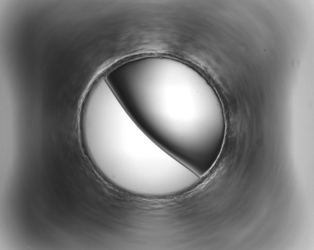 X0000098191168200804241045