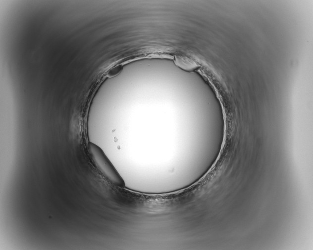 X0000098191169200804241045