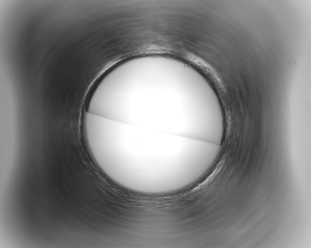 X0000098191170200804241045