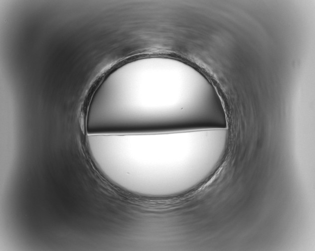 X0000098191171200804241045