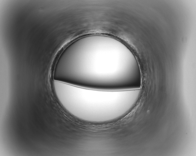 X0000098191173200804241045
