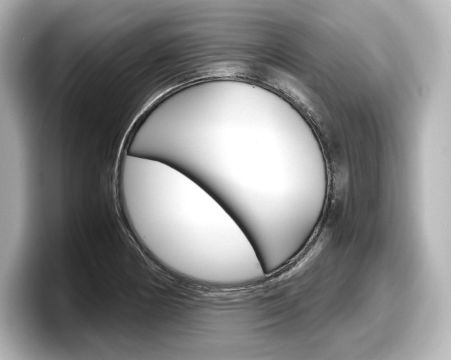 X0000098191178200804241045