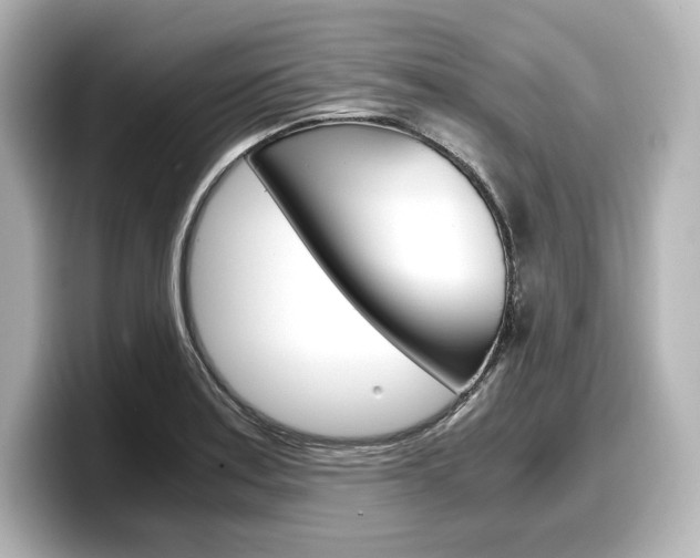 X0000098191179200804241045