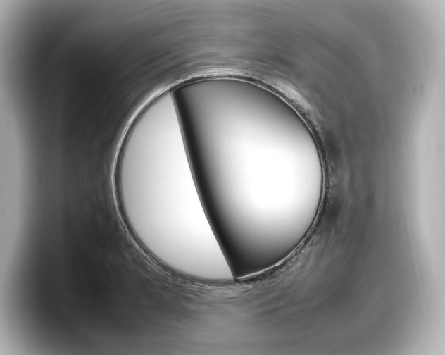 X0000098191181200804241045