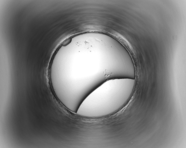 X0000098191182200804241045