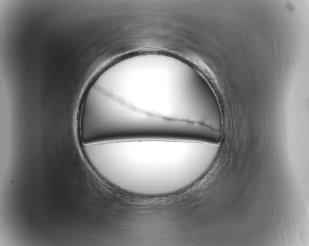 X0000098191183200804241045