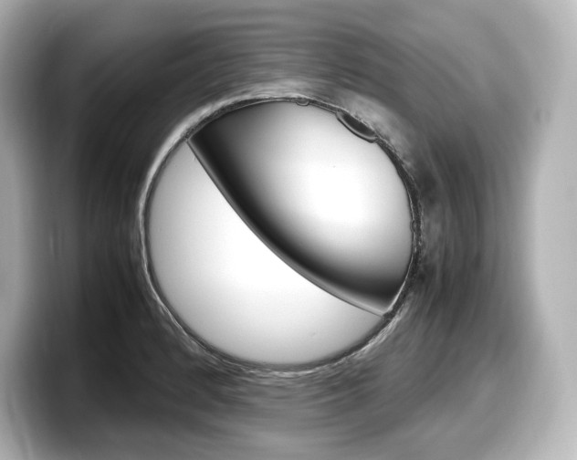 X0000098191184200804241045