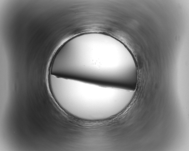 X0000098191187200804241045