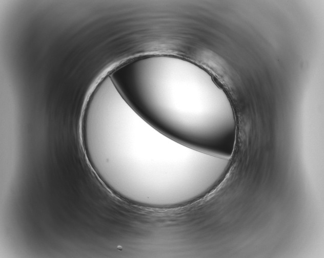 X0000098191188200804241045