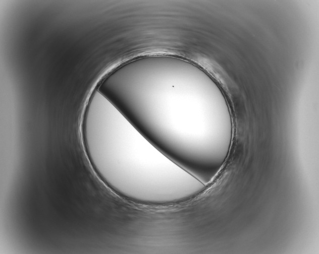 X0000098191189200804241044