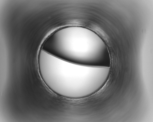 X0000098191192200804241044